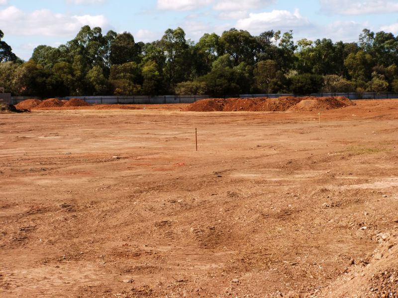 Building Site Clearing in Atlanta, GA